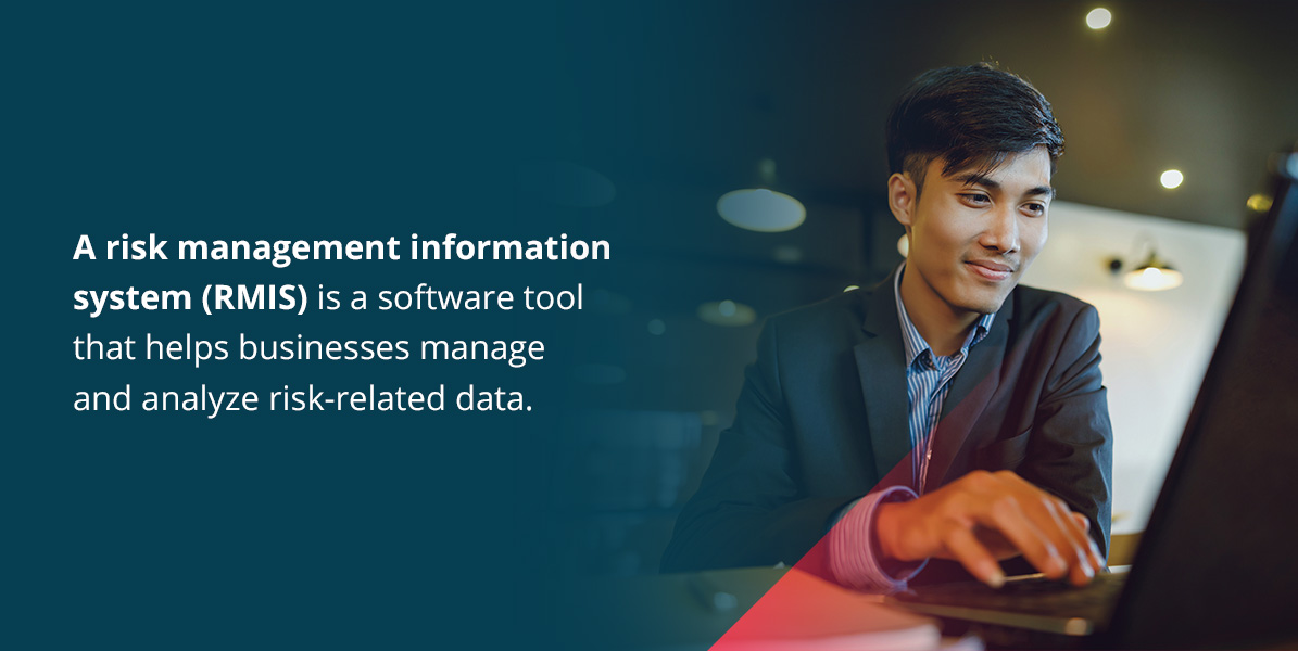 What is a risk management information system