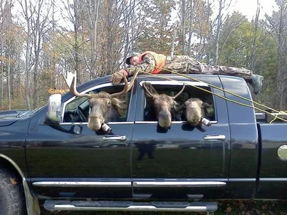 a man is laying on the roof of a truck with three moose heads sticking out of the windows
